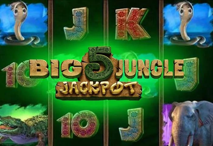 Programma VIP Playbet Casino slot machine jackpot display
