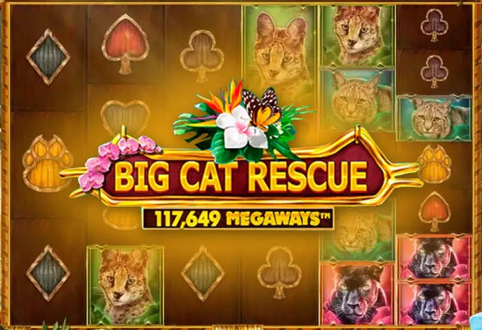 Ambiance excitante du Playbet Casino en ligne.
