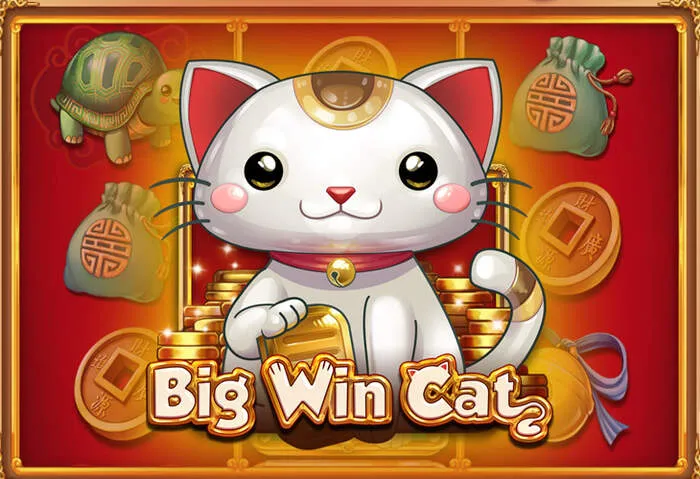 Positive Playbet Casino Bewertung von unabhängigen Experten.