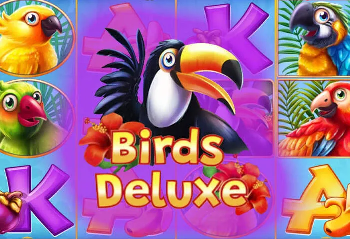 Faire Playbet Casino Umsatzbedingungen für Bonus ohne Einzahlung.