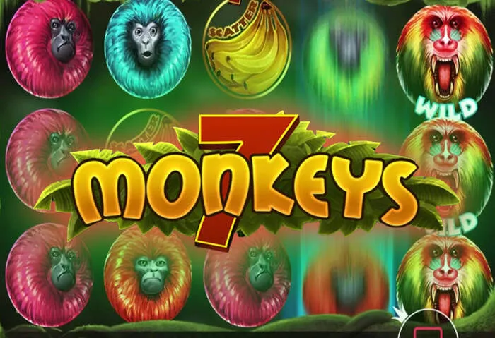 Obtenez votre Bonus Playbet Casino de fidélité.